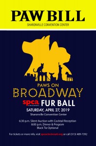 SPCA_PawsOnBroadway Key Magazine OL